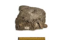 F 00891
<br/>
<br/>
<em></em>